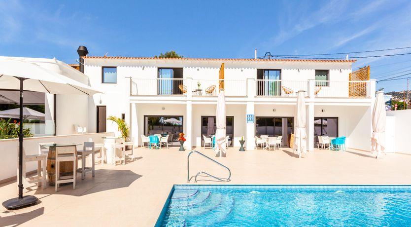 Photo of Gladiolus in Bloom