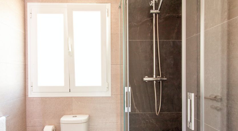 Photo of Gladiolus in Bloom