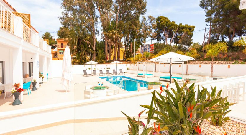 Photo of Gladiolus in Bloom