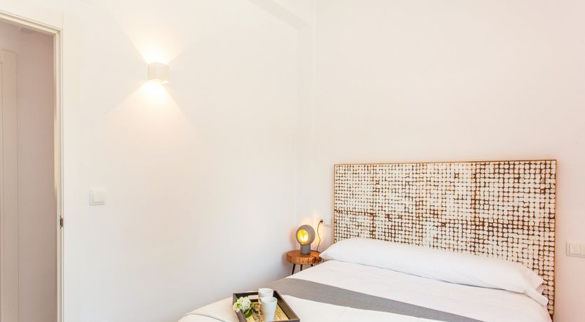 Photo of Gladiolus in Bloom