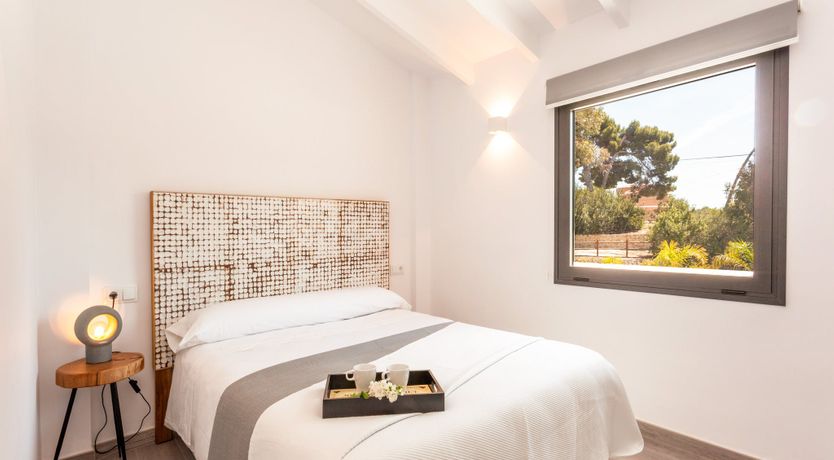 Photo of Gladiolus in Bloom