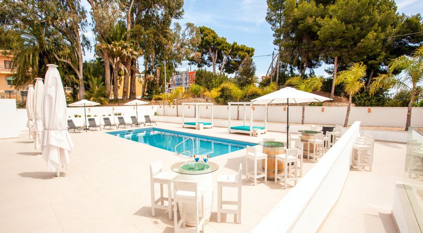 Photo of Gladiolus in Bloom