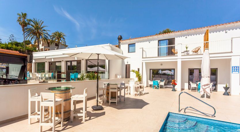 Photo of Gladiolus in Bloom