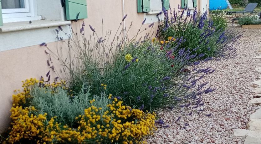 Photo of The Divine Touch