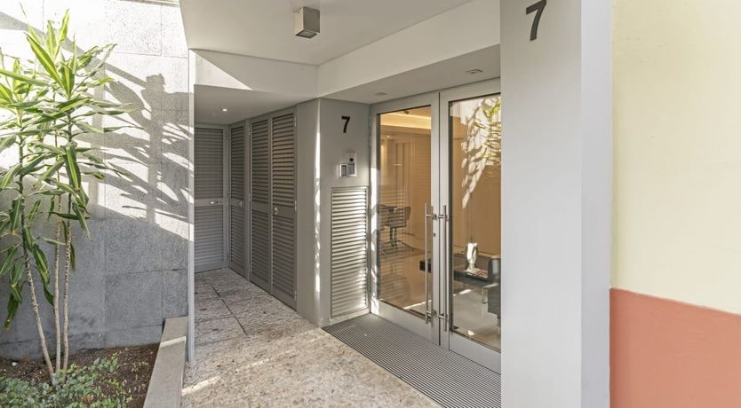 Photo of Yellow Mimosa