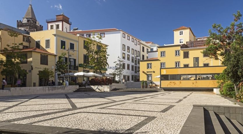 Photo of Yellow Mimosa