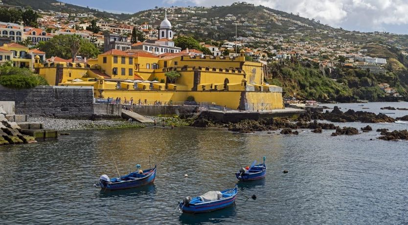 Photo of Yellow Mimosa