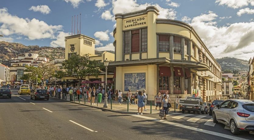Photo of Yellow Mimosa