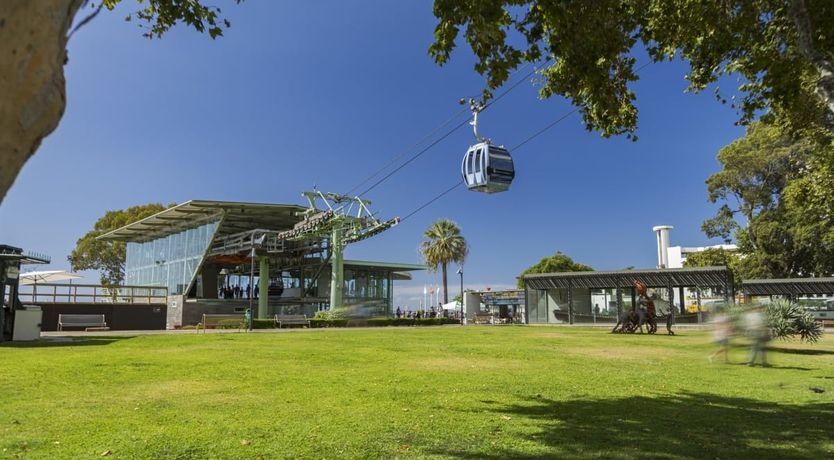 Photo of Yellow Mimosa