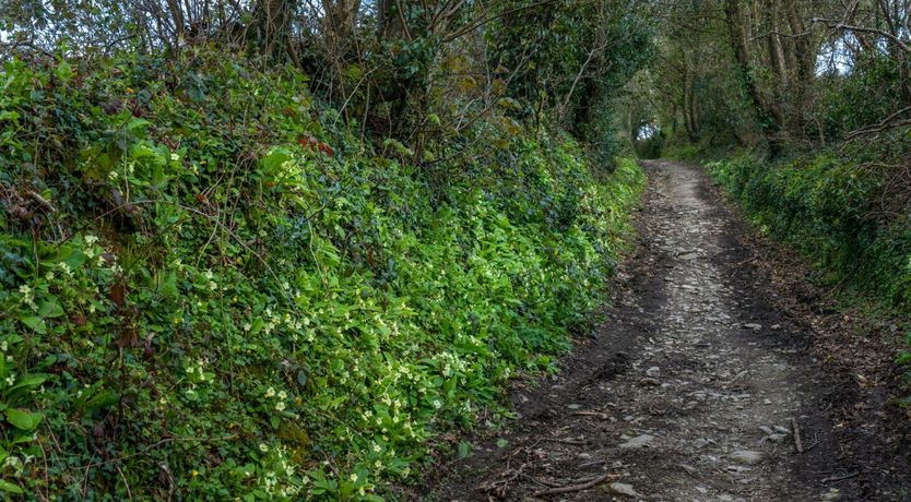 Photo of Elvan Hideaway