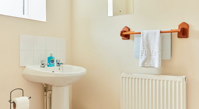 Photo of Willow Blossom