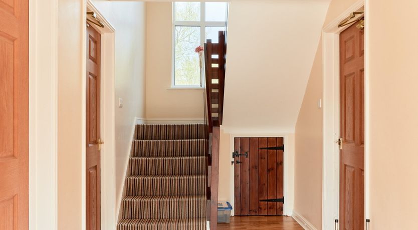 Photo of Willow Blossom