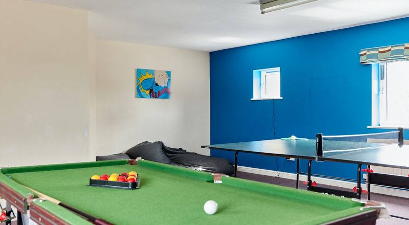 Photo of Willow Blossom