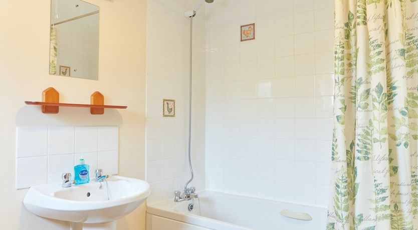 Photo of Willow Blossom