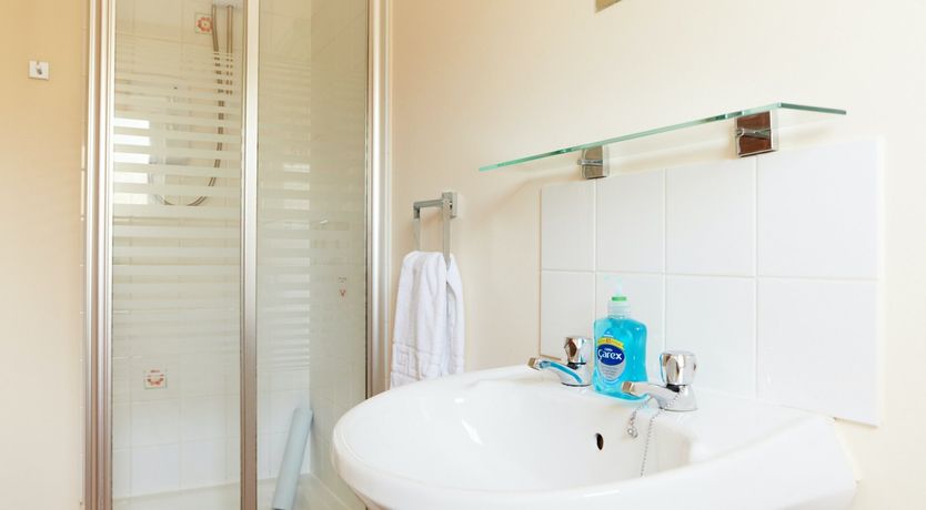 Photo of Willow Blossom