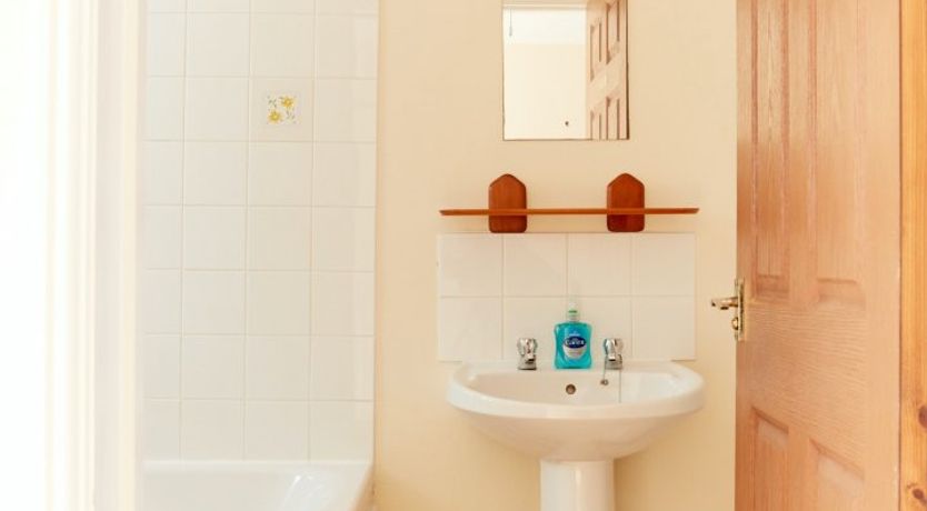 Photo of Willow Blossom