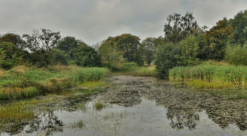 Photo of Barn Owl's Hollow