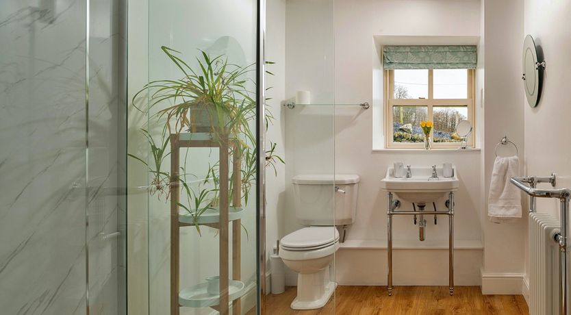 Photo of Right as Grain