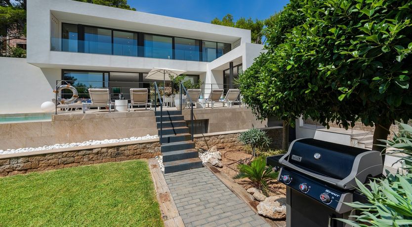 Photo of Midnight Glow