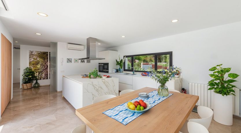 Photo of Midnight Glow