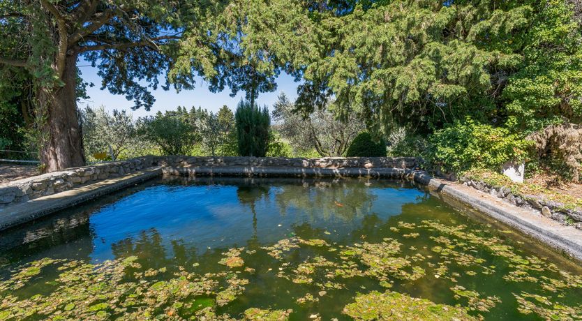 Photo of Tower of Ivy