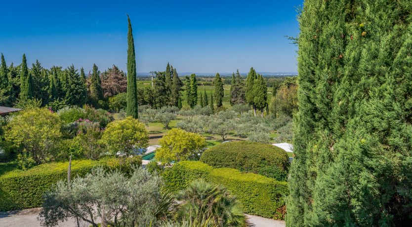 Photo of Tower of Ivy