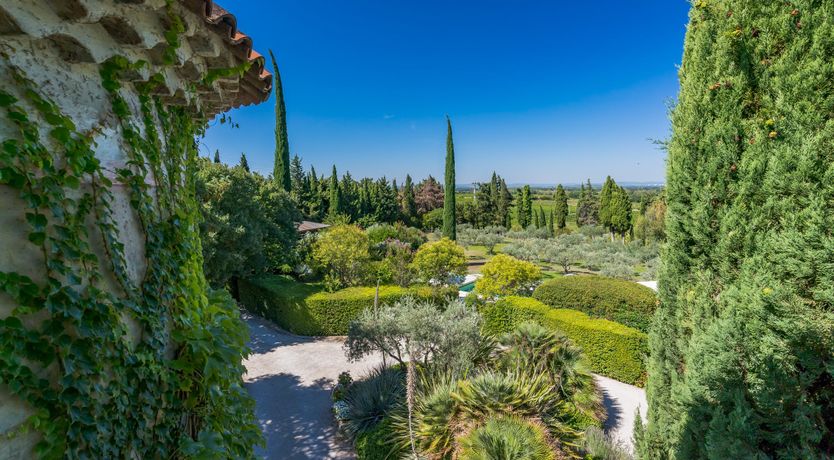 Photo of Tower of Ivy