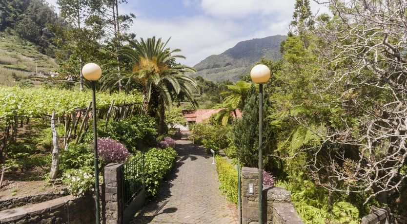 Photo of Laurel & Vine