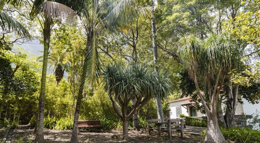 Photo of Laurel & Vine