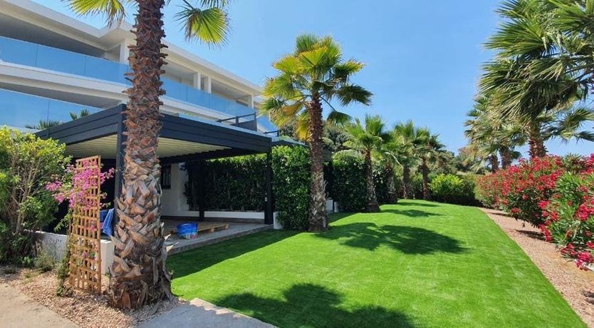 Photo of Ruby Sunset