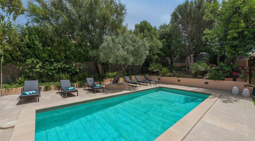 Photo of Bonaire Bloom