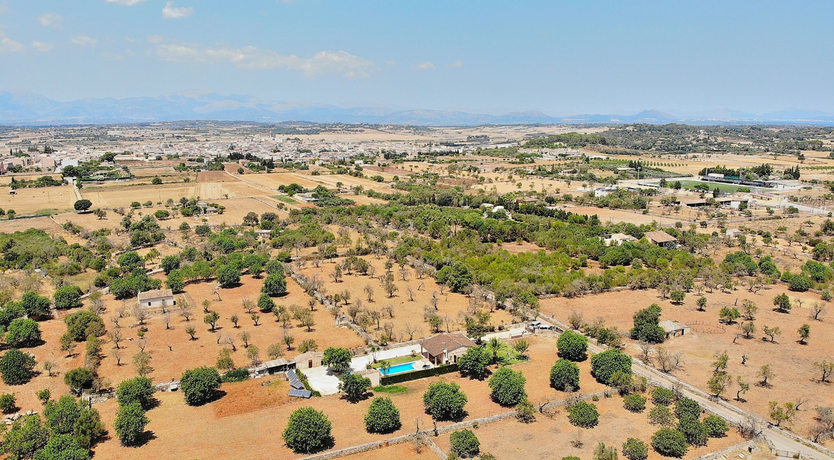 Photo of Ethereal Serenity