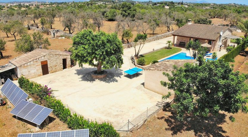 Photo of Ethereal Serenity