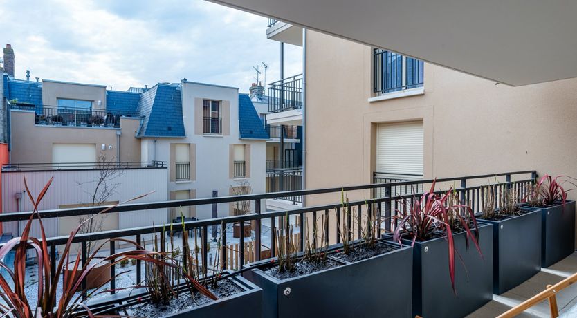 Photo of Deauville Darling