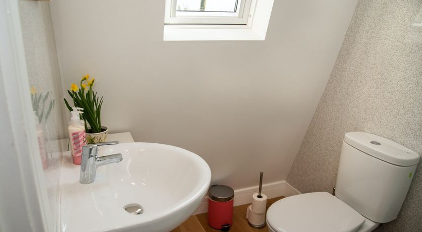 Photo of The Otter's Tea Party