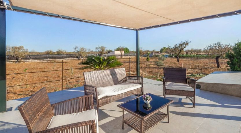 Photo of Twilight Tapestry