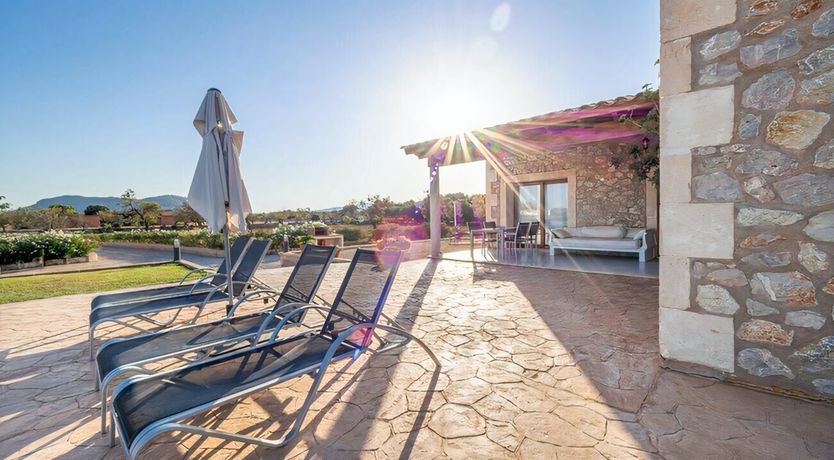 Photo of Twilight Tapestry