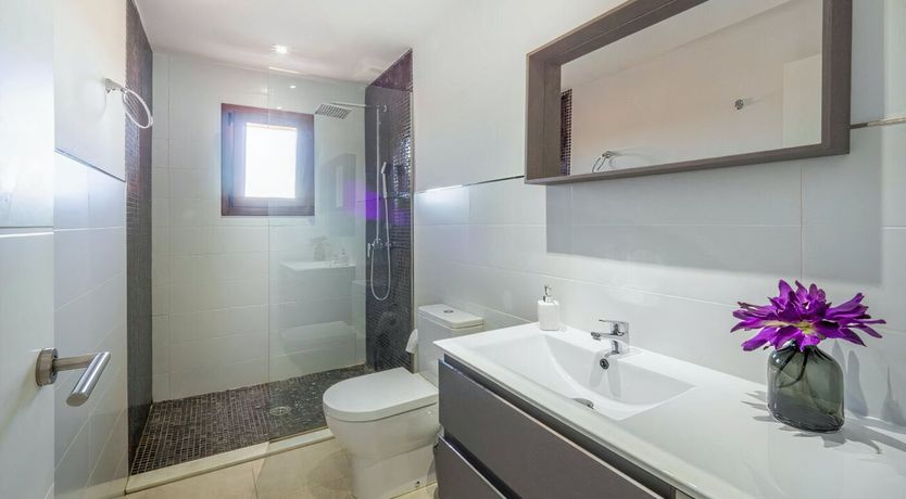 Photo of Twilight Tapestry