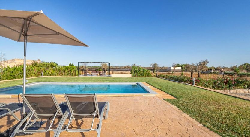 Photo of Twilight Tapestry