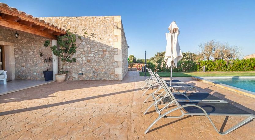 Photo of Twilight Tapestry