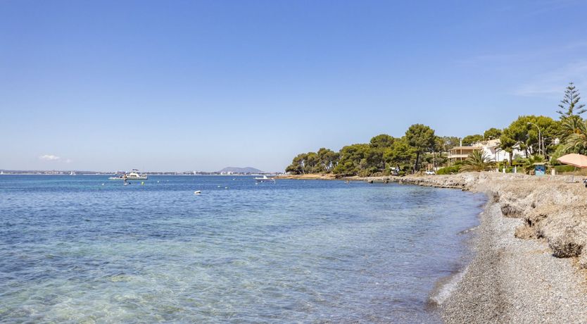 Photo of The Pebble Shore