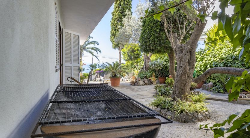 Photo of The Pebble Shore