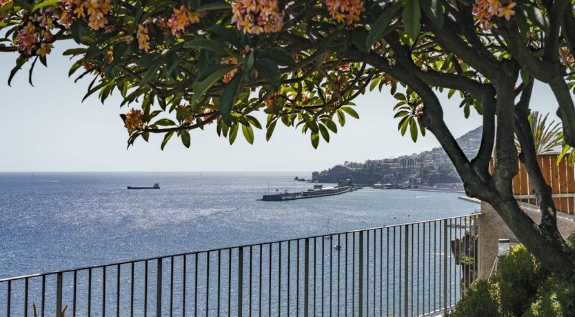 Photo of I See a Little Lazareto of a Man