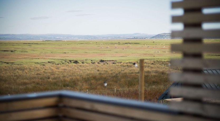 Photo of The Transcendent Beauty of the Sea and Marshes
