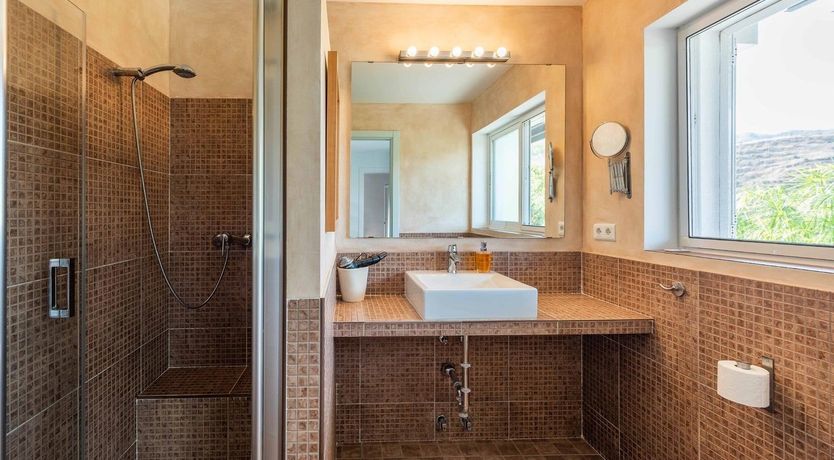 Photo of Tree Whispers