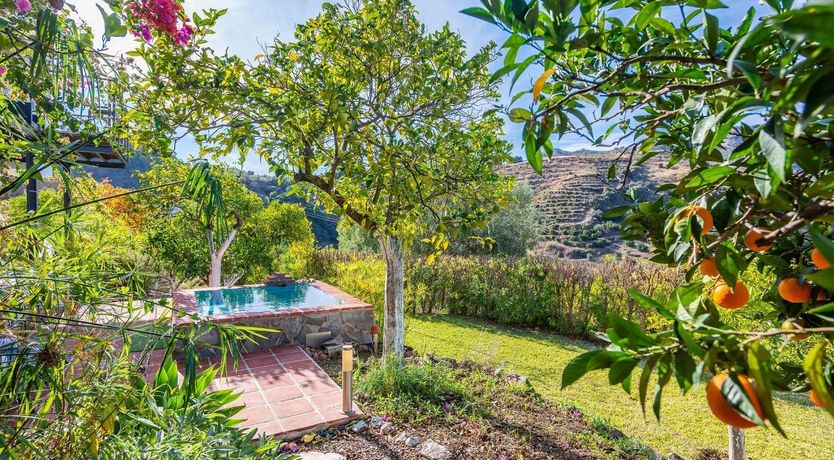 Photo of Tree Whispers