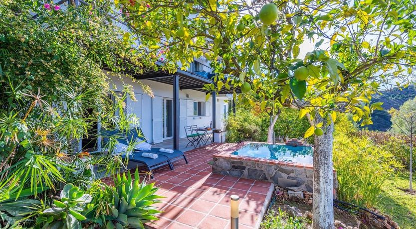 Photo of Tree Whispers