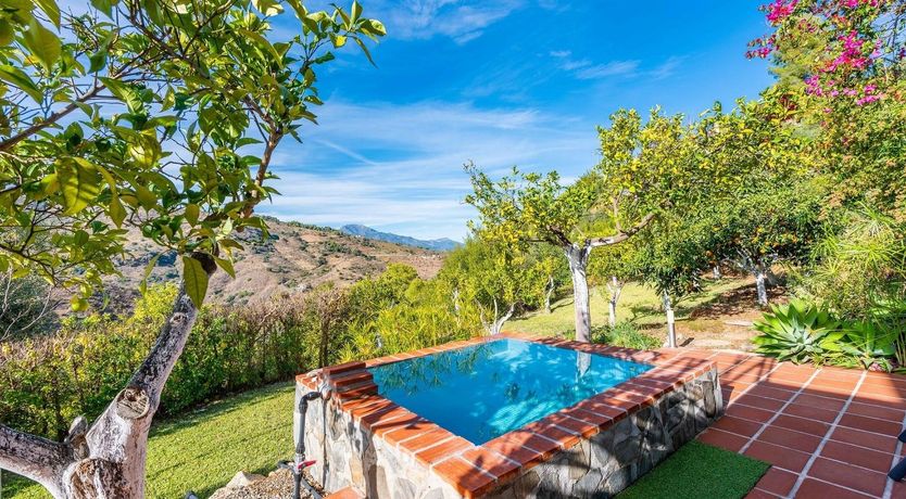 Photo of Tree Whispers