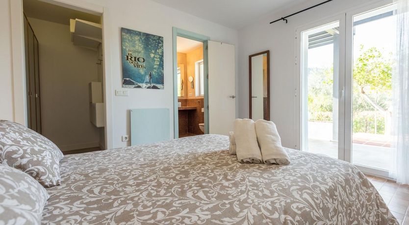 Photo of Tree Whispers