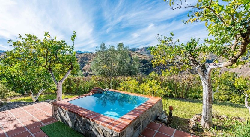 Photo of Tree Whispers